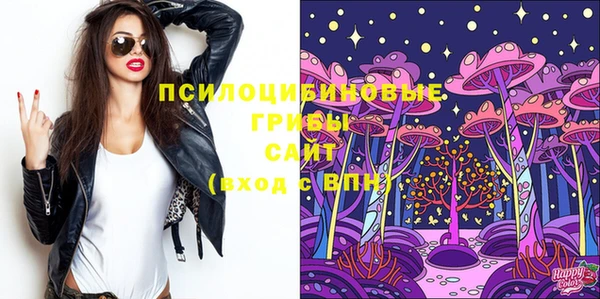 ECSTASY Саяногорск